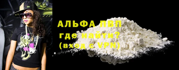 шишки Алзамай