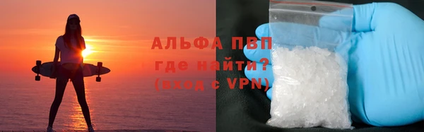шишки Алзамай