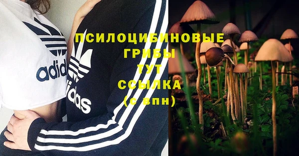 2c-b Алексеевка