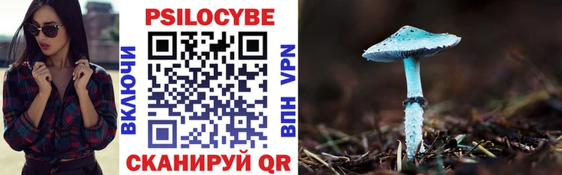 Галлюциногенные грибы мицелий  Судак 