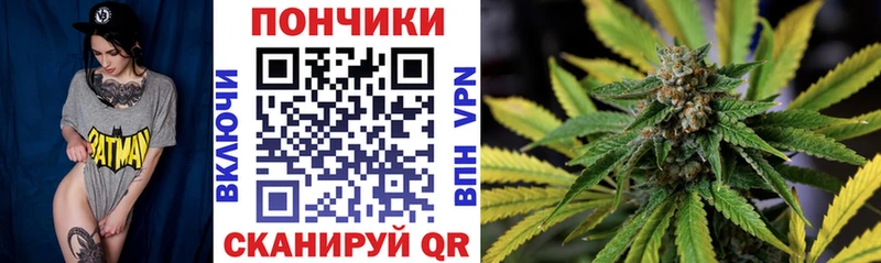 mega   Судак  Шишки марихуана план 